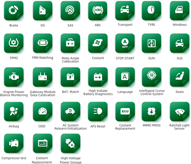ThinkTool CE EVD для електрокарів